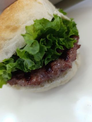 Velika gurmanska pljeskavica