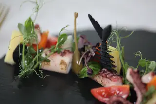 Salata od hobotnice