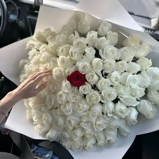White beauty