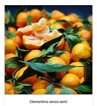 Clementini senza semi 1/2 kg. ca.