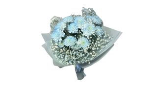 ქრიზანთემების ცისფერი თაიგული