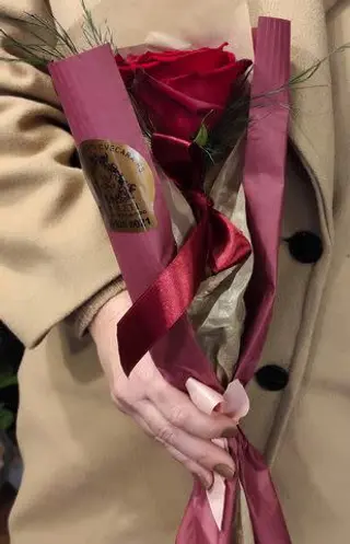 One Red Rose