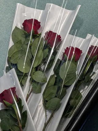 5 Roses Emballées
