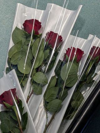 5 Roses Emballées