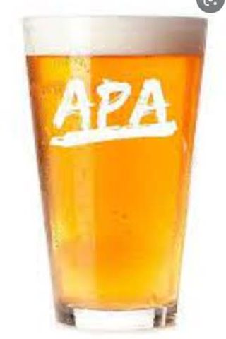 Cerveza Artesanal YOVO Apa