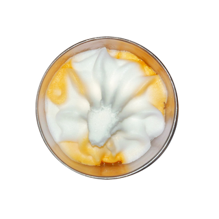 Sorbetto agli agrumi ( arancia e limone )