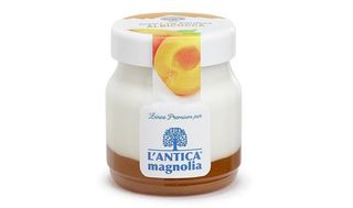 YOGURT ALBICOCCA 150g (7077)