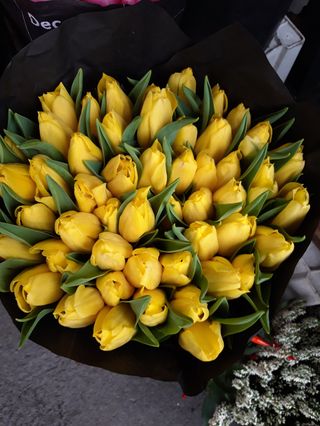 10 pezzi tulipani giallo extra bouquet 