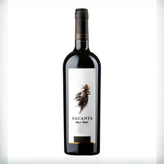 Feteasca Neagra Barrique Bacanta, Girboiu, Moldova