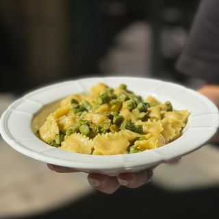 Il PlinTo Pasquale dal Piemonte