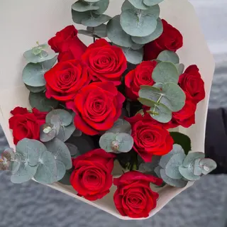 12 Rose  Rosse