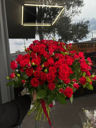 Кущова троянда 