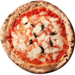 Pizza Margherita