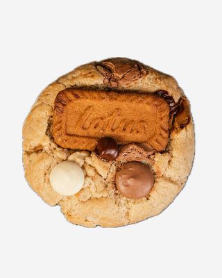 BISCOFF FANTASY
