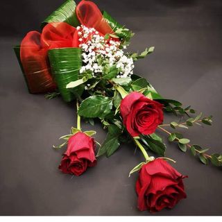  3 bellissime rose rosse , in elegante confezione 