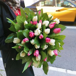 "SENSUALITE" DE TULIPANES 20/30/40 tallos