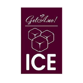 Лід харчовий Gel Amo Кубик 1кг