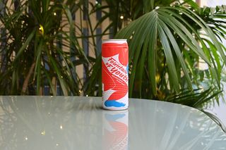 Michelberger Fountain of Youth 520ml