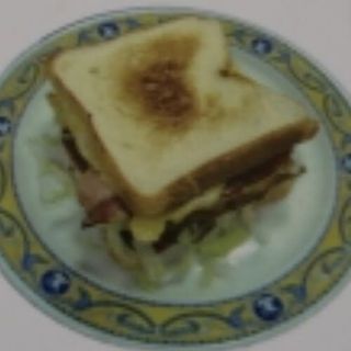 Sándwich Especial Rus