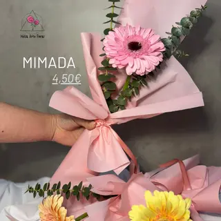 RAMO MIMADA
