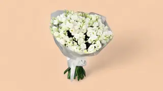 თეთრი ეუსტომა