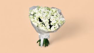 თეთრი ეუსტომა