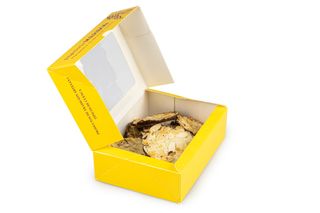 Caja De Florentinas (10 Uds.)