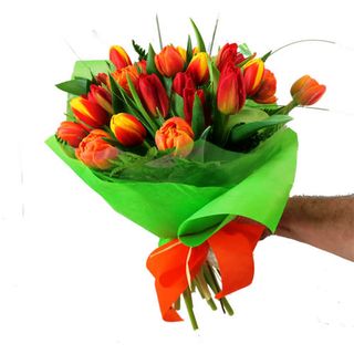 Tulipanes (ramo de 20 tulipanes)
