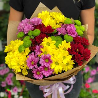 Mieszanka chryzantem