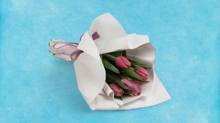 ტიტების თაიგული