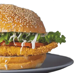 Crispy chicken burger+krumpirići