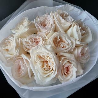 11 півоноподібних кремових троянд 