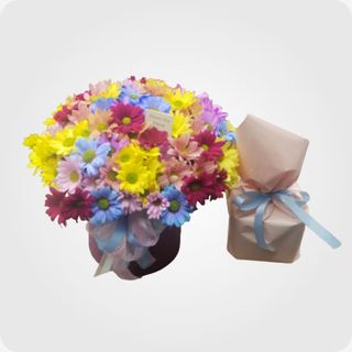 ფერადი ქრიზანთემა & რაფაელო