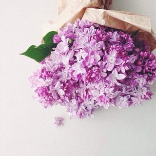  იასამანი კრაფტში