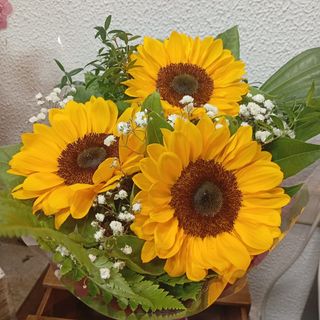 Ramo de 3 girasoles