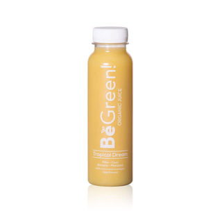 Zumo de mango 300ml ECO