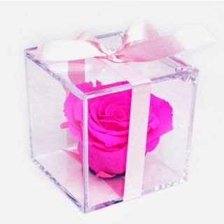 Rosa fucsia preservada en caja de metacrilato