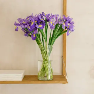 Ramo de 24u de iris azules