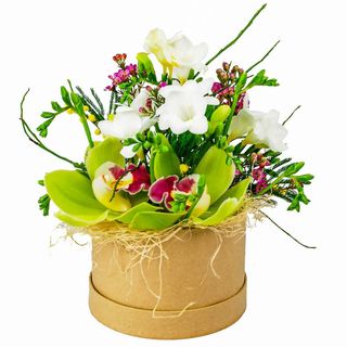 Cutie cu cymbidium, frezii si wax-flowers