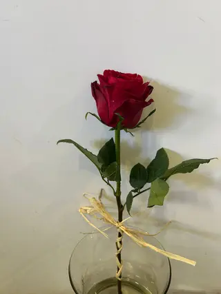Rosa com Ráfia
