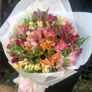 ფერადი ასტრომერიები