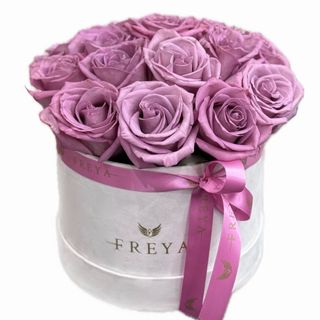 Cutie mica 11 trandafiri Moody Blue