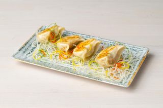 Raku Potsticker chicken gyoza 120g