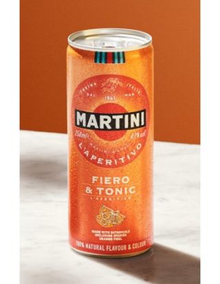 Martini Fiero & Tonic (250 Ml.)
