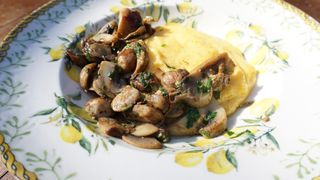 POLENTA CON SPEZZATINO DI FUNGHI