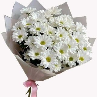  თეთრი გვირილები (10)