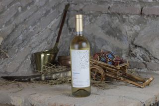 ვისმინო ტვიში 