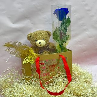 Pelucha + Rosa Preservada