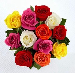 Rose colorate 7 pezzi 