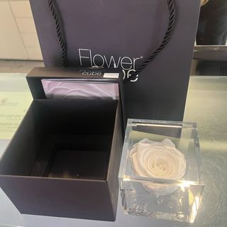 Rosa joya color blanco 8x8